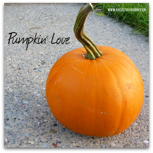 Pumpkin Cheesecake and Chili Recipes