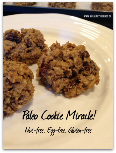 Allergy-free Paleo Cookie Recipe