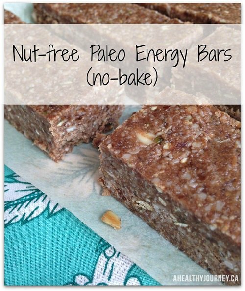 No-Bake Paleo Energy Bars (Nut-free)