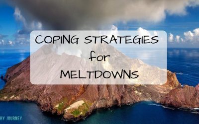 Coping Strategies for MELTDOWNS